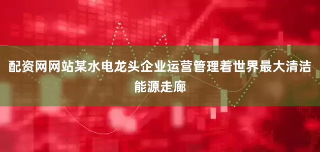 配资网网站某水电龙头企业运营管理着世界最大清洁能源走廊