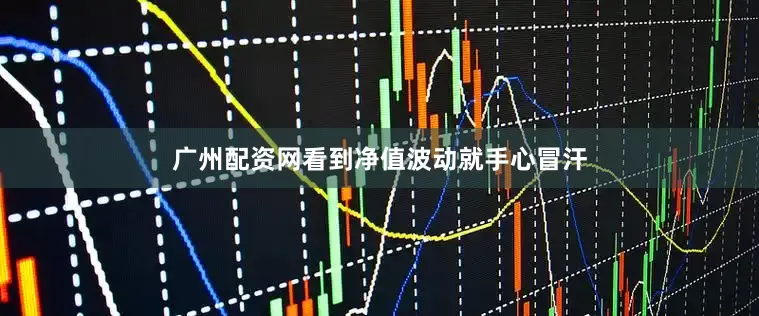 广州配资网看到净值波动就手心冒汗