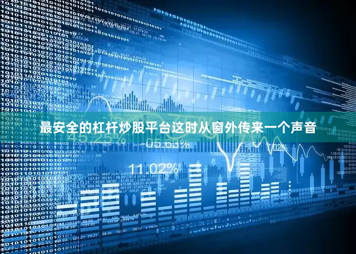 最安全的杠杆炒股平台这时从窗外传来一个声音